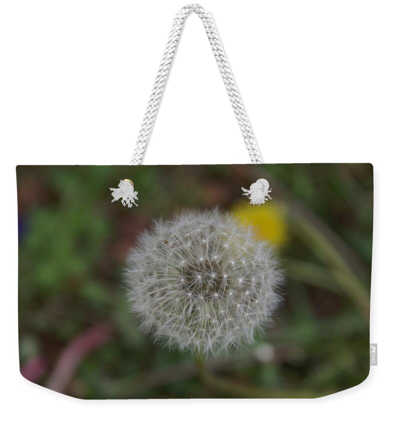  Weekender Tote Bag featuring the photograph Seedhead by Heather E Harman