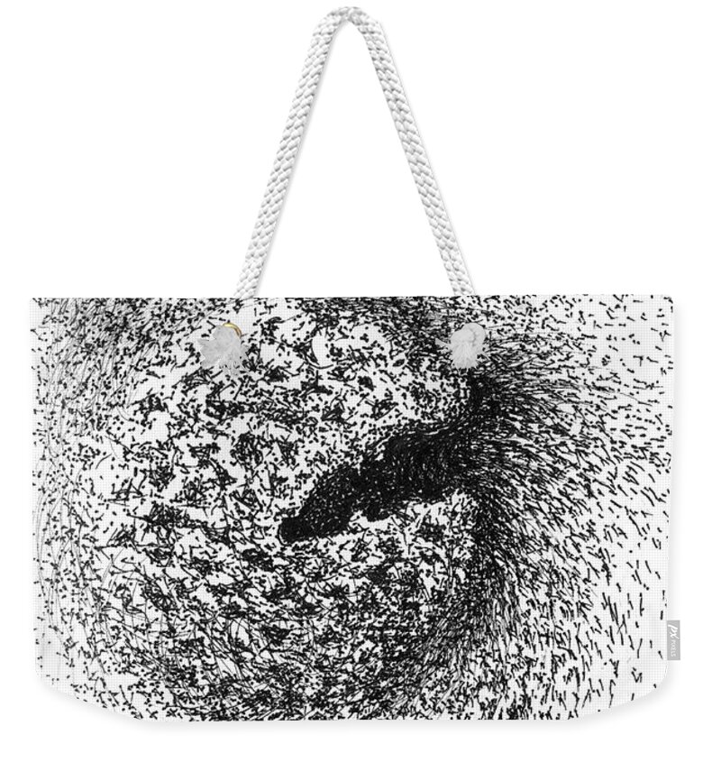 Seed Weekender Tote Bag featuring the drawing Seedpod Too by Franci Hepburn