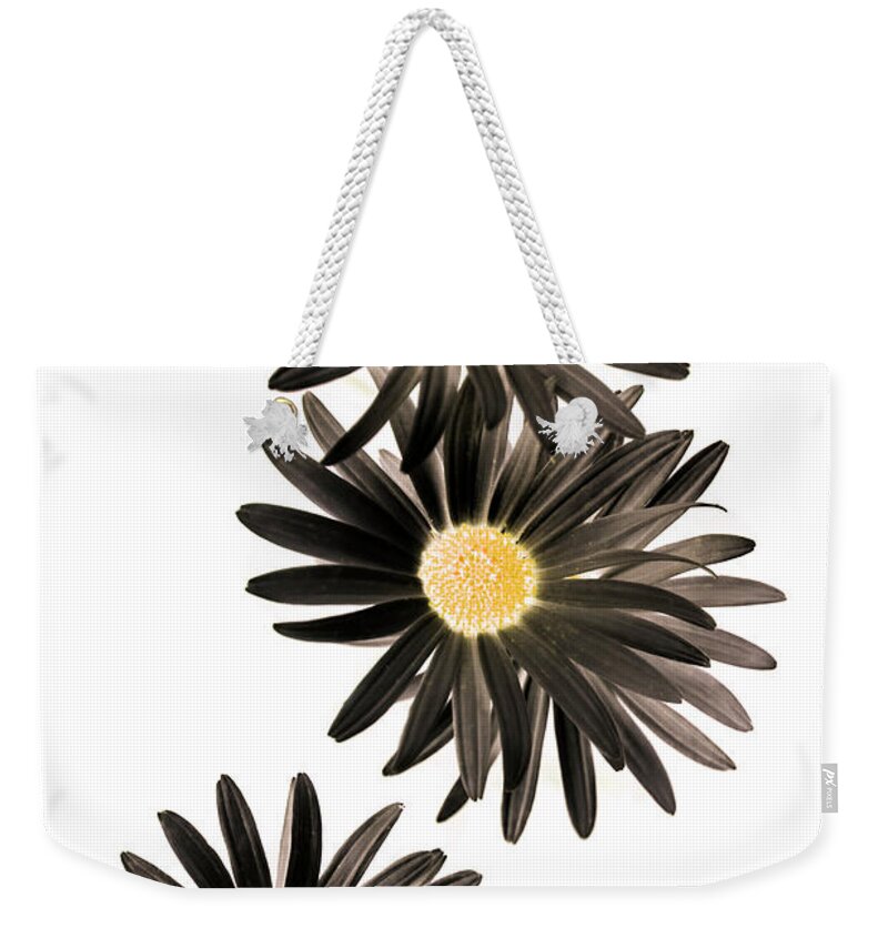 Flower Weekender Tote Bag featuring the photograph Seisiad by Jorgo Photography