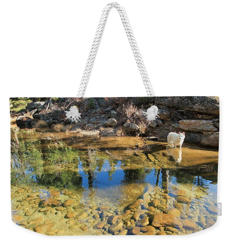 Sierra.stream Weekender Tote Bag featuring the photograph Sekani Autumn Mirror by Sean Sarsfield
