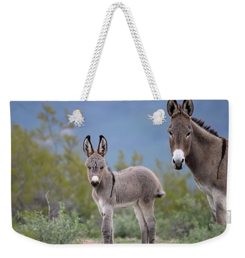 Wild Burro Weekender Tote Bag featuring the photograph Self Assured by Mary Hone