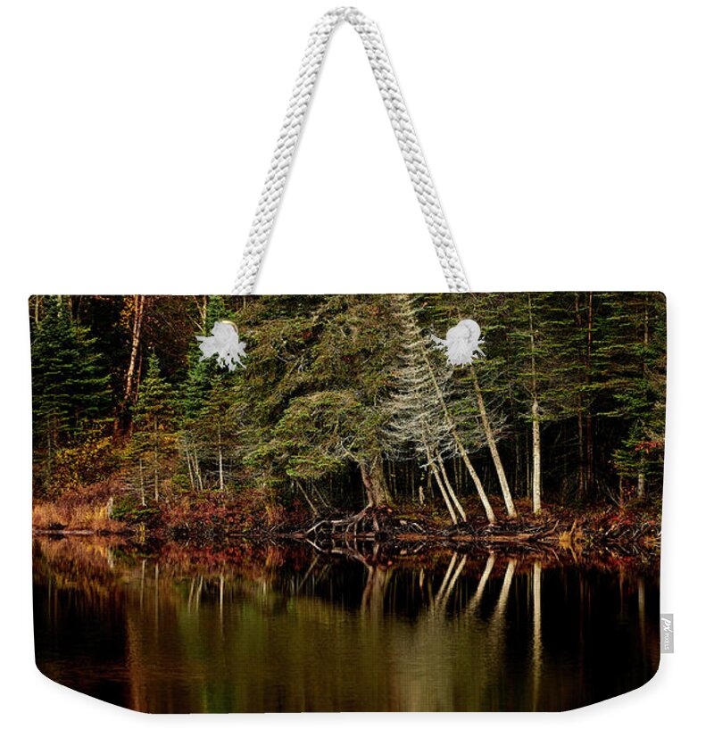 Canada Weekender Tote Bag featuring the photograph Sensuous by Doug Gibbons