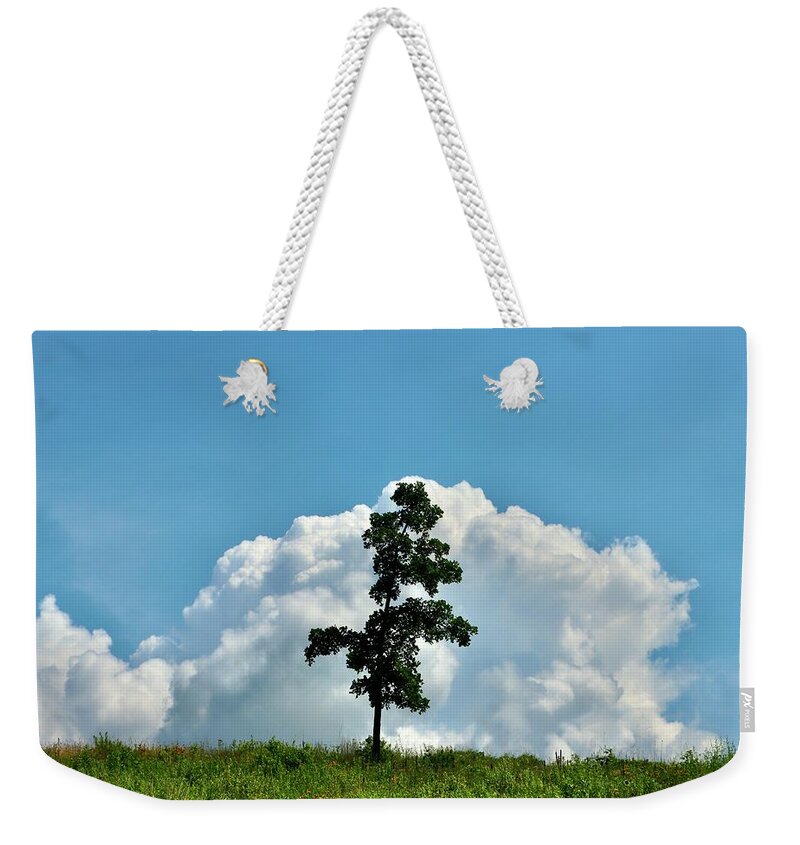 Sentinel Weekender Tote Bag featuring the photograph Sentinel by Sarah Lilja