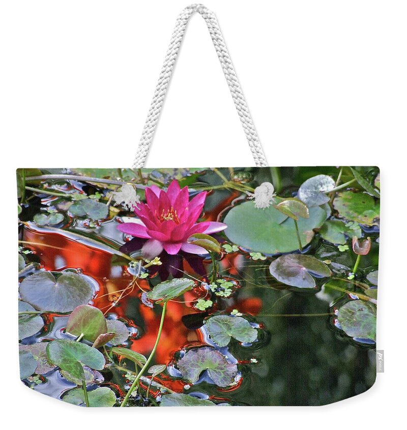 Water Lily: Water Garden Weekender Tote Bag featuring the photograph September Rose Water Lily 2 by Janis Senungetuk