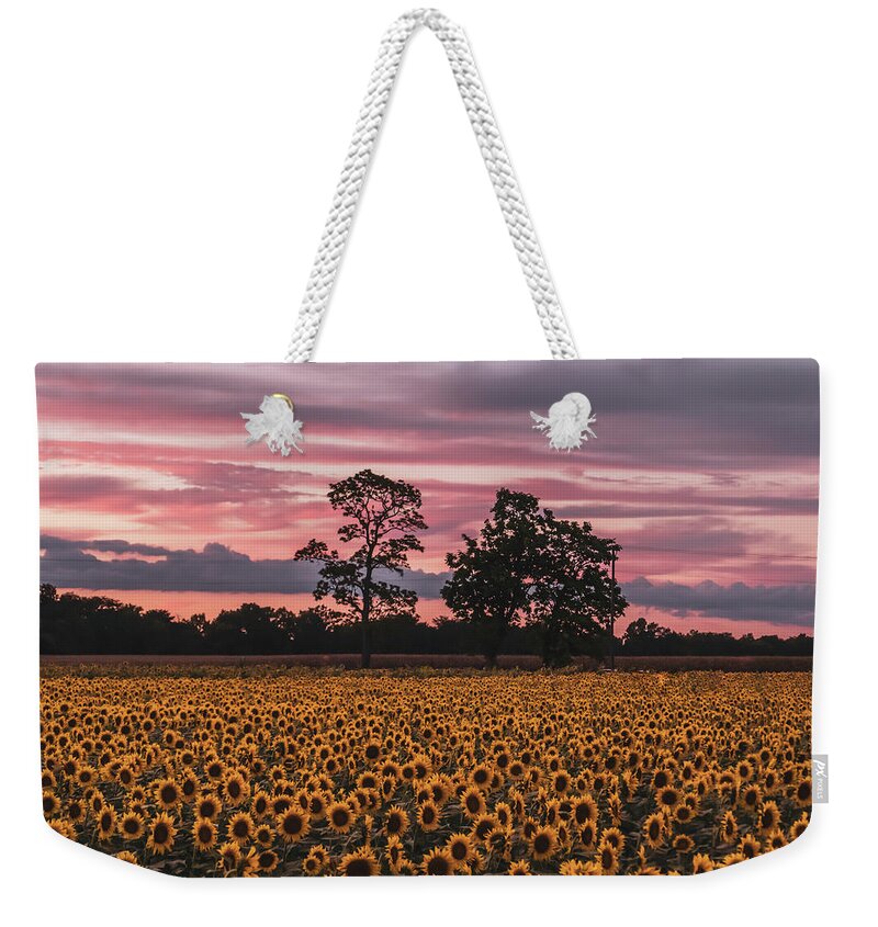 Sunflower Weekender Tote Bag featuring the photograph September Sunflowers by Arthur Oleary