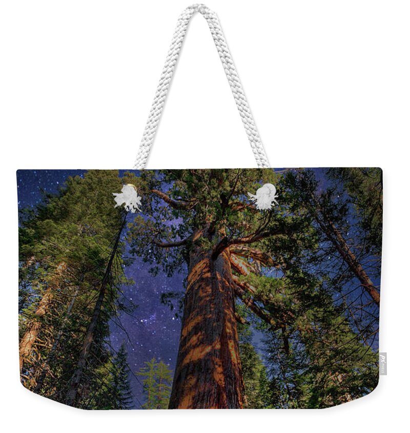 California Weekender Tote Bag featuring the photograph Serenity by Moonlight by Dan Carmichael