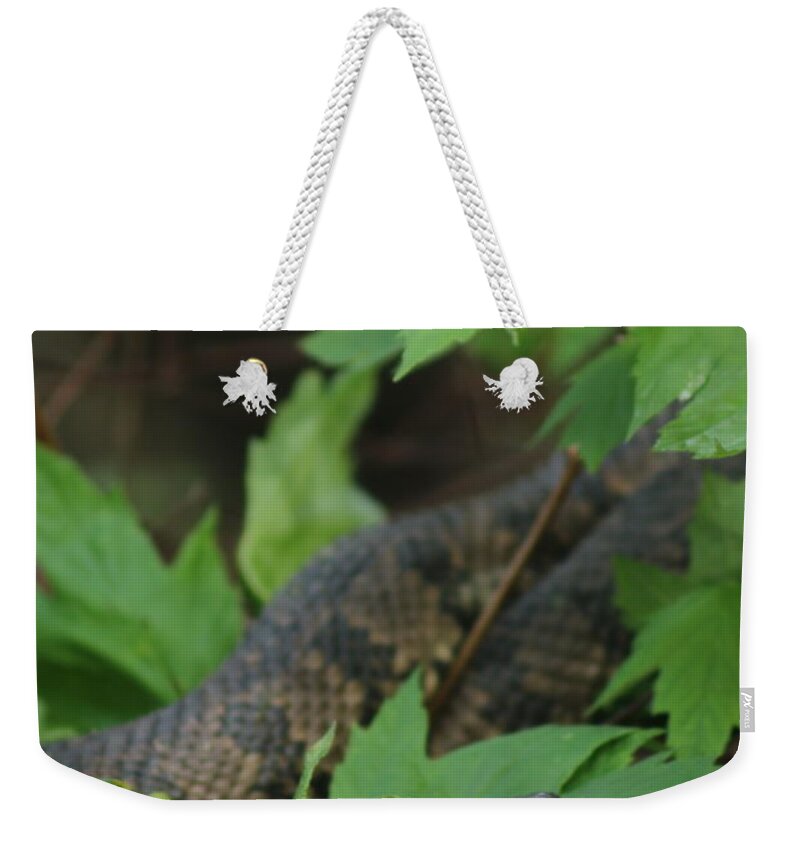 Snake Weekender Tote Bag featuring the photograph Serpent in the tree by Amy Curtis
