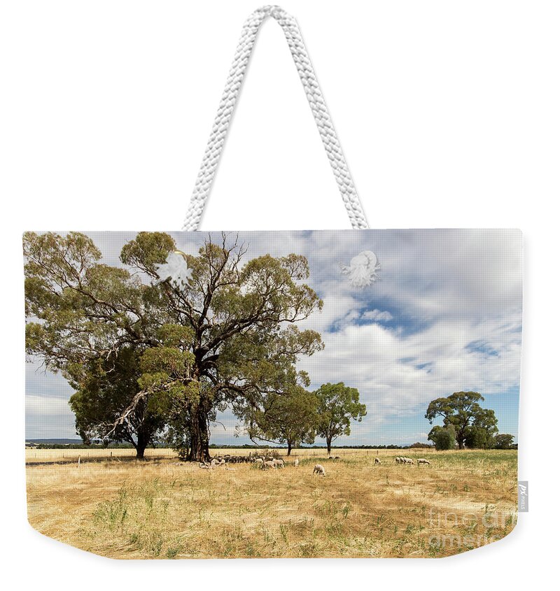 Paddock Weekender Tote Bag featuring the photograph Shade, anywhere you can get it by Linda Lees