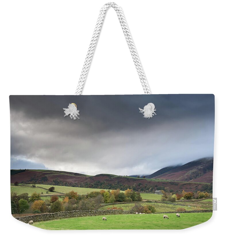 Autumn Weekender Tote Bag featuring the photograph Shades Of Autumn, Lake District, England, UK by Sarah Howard