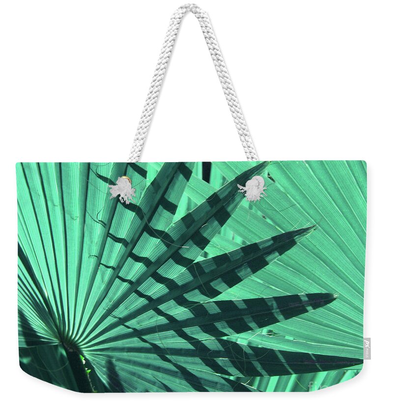 Nature Weekender Tote Bag featuring the photograph Shadows on Palm Leaves by Mariarosa Rockefeller