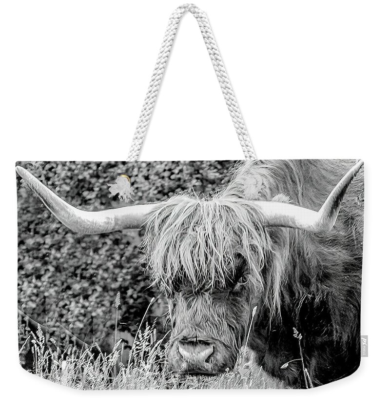 Scotland Weekender Tote Bag featuring the photograph Shaggy Coo of Scotland by Marcy Wielfaert