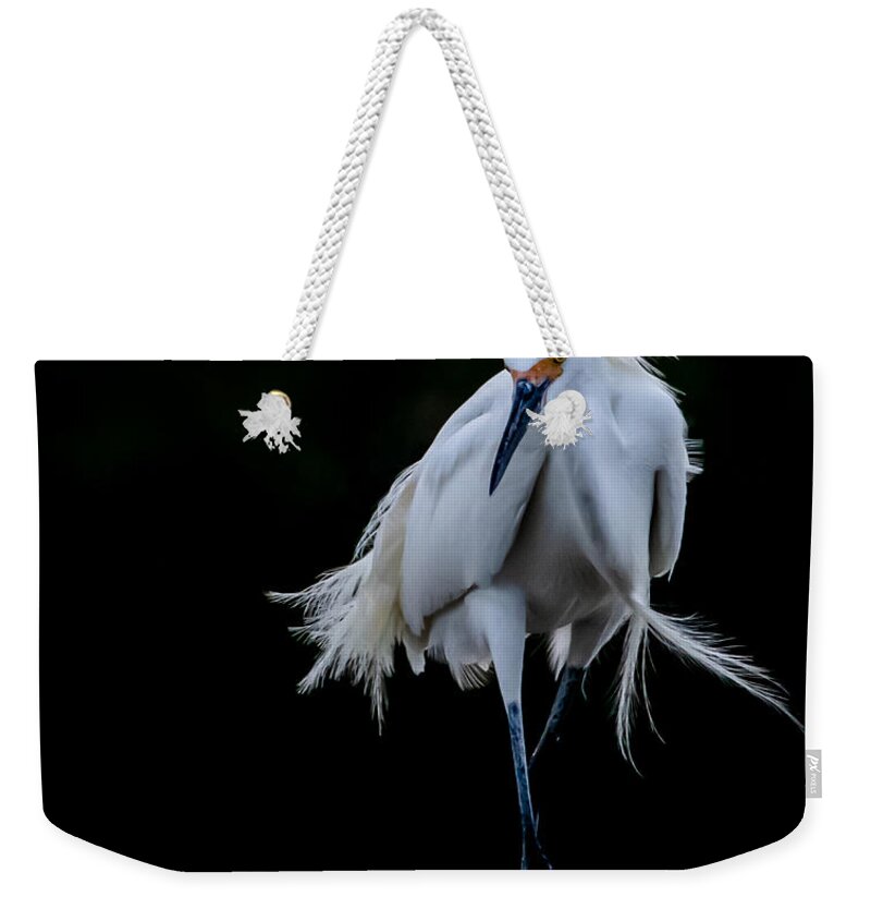 Bird Weekender Tote Bag featuring the photograph Shall We Dance by Shara Abel