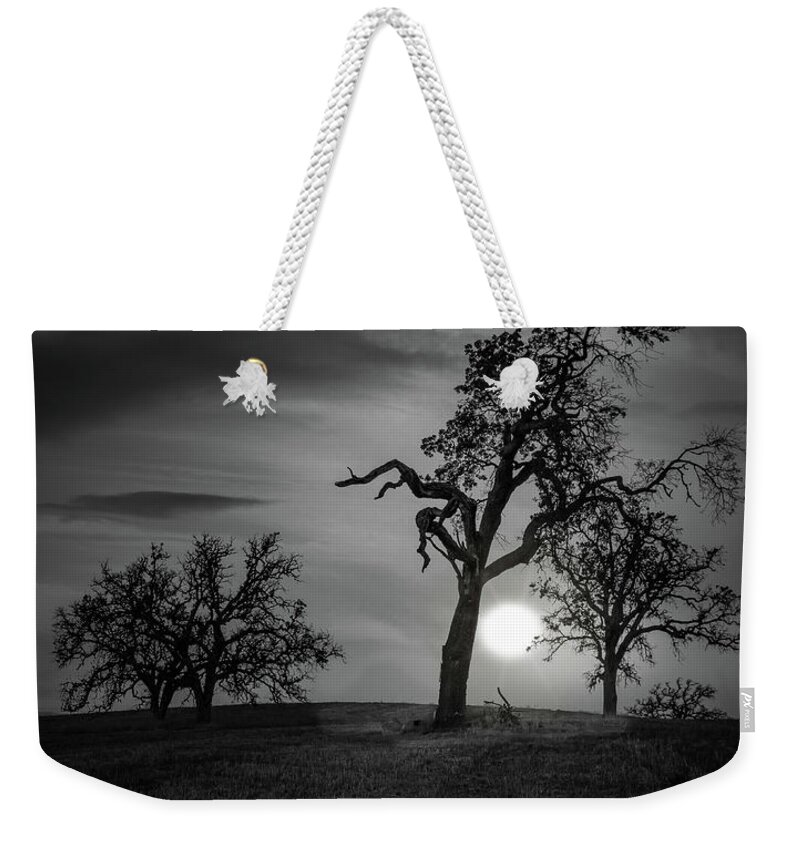 Dramatic Weekender Tote Bag featuring the photograph Shaped by the Wind by Tim Bryan