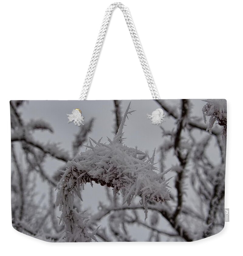 Winter Weekender Tote Bag featuring the photograph Shards Of Rime Ice by Dale Kauzlaric