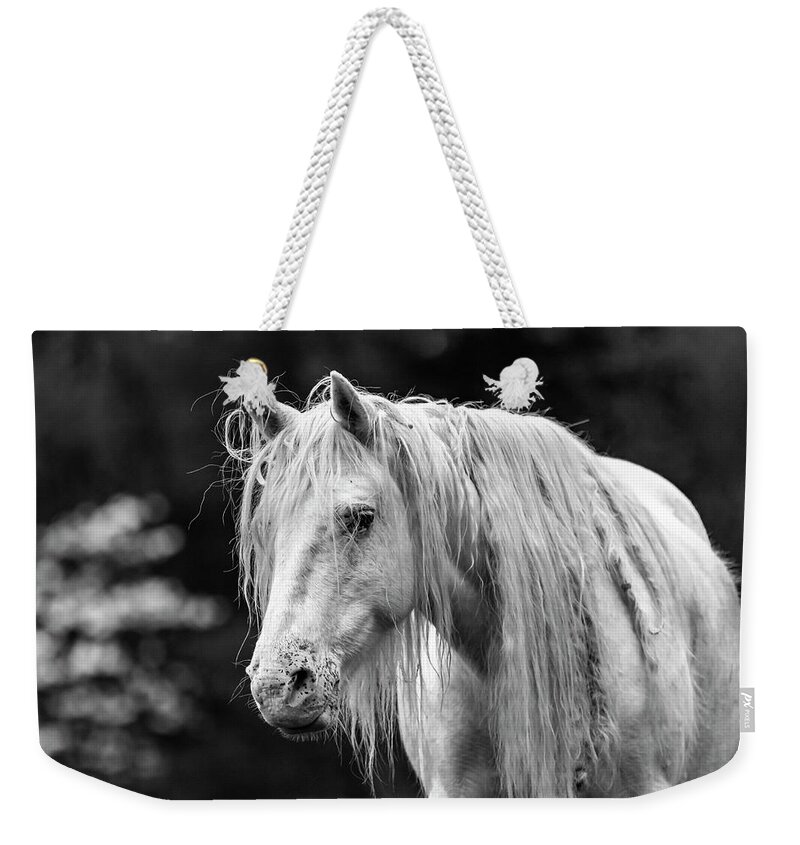 Black And White Weekender Tote Bag featuring the photograph Shawnee Mare and Dogwoods by Holly Ross