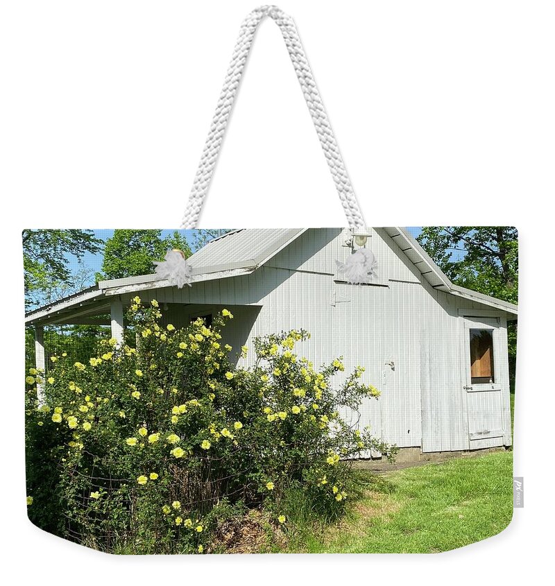  Weekender Tote Bag featuring the painting Shed by Anitra Boyt
