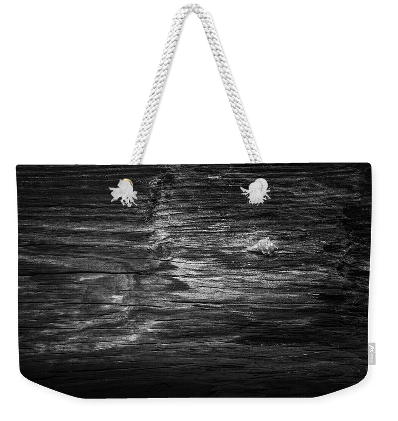 Greg Mimbs Weekender Tote Bag featuring the photograph Shell On Wood In Black and White by Greg and Chrystal Mimbs