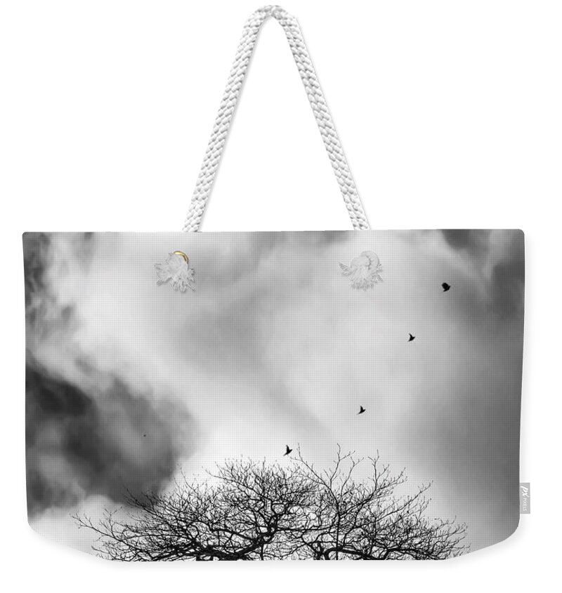 Fine Art Weekender Tote Bag featuring the photograph Sheltering Sky II by Sofie Conte