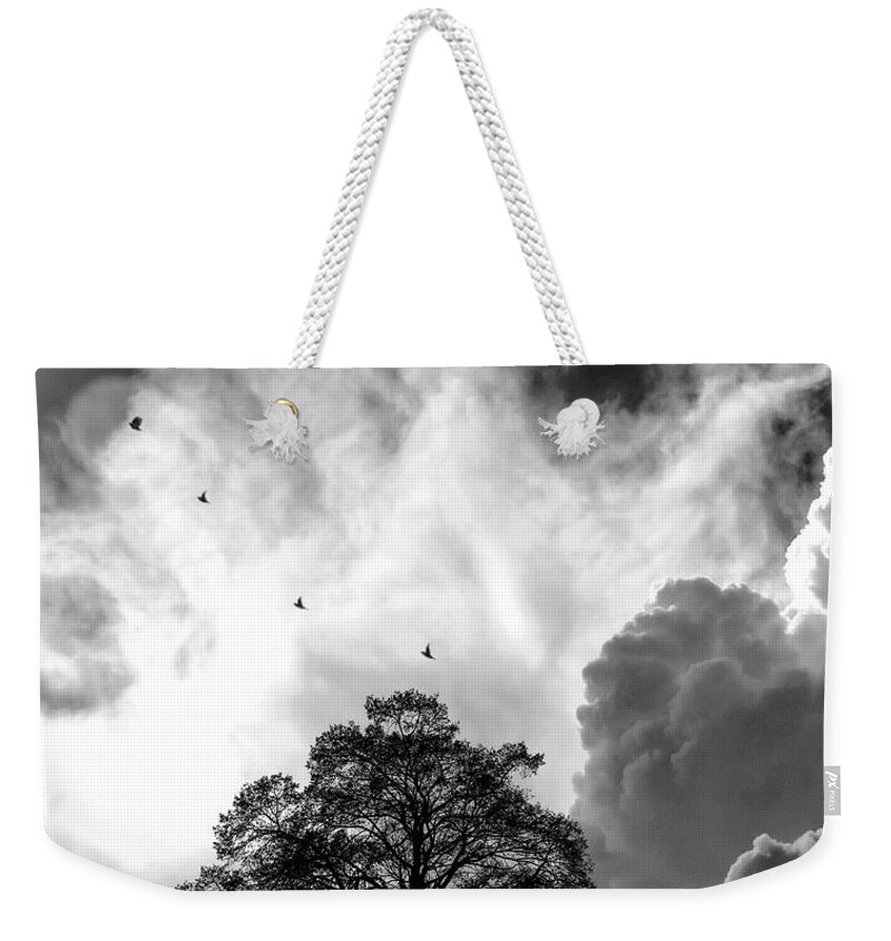 Fine Art Weekender Tote Bag featuring the photograph Sheltering Sky by Sofie Conte