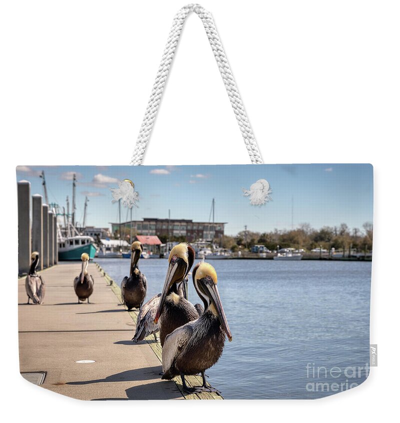 Shem Creek Weekender Tote Bag featuring the photograph Shem Creek Pelicans by Rebecca Caroline Photography