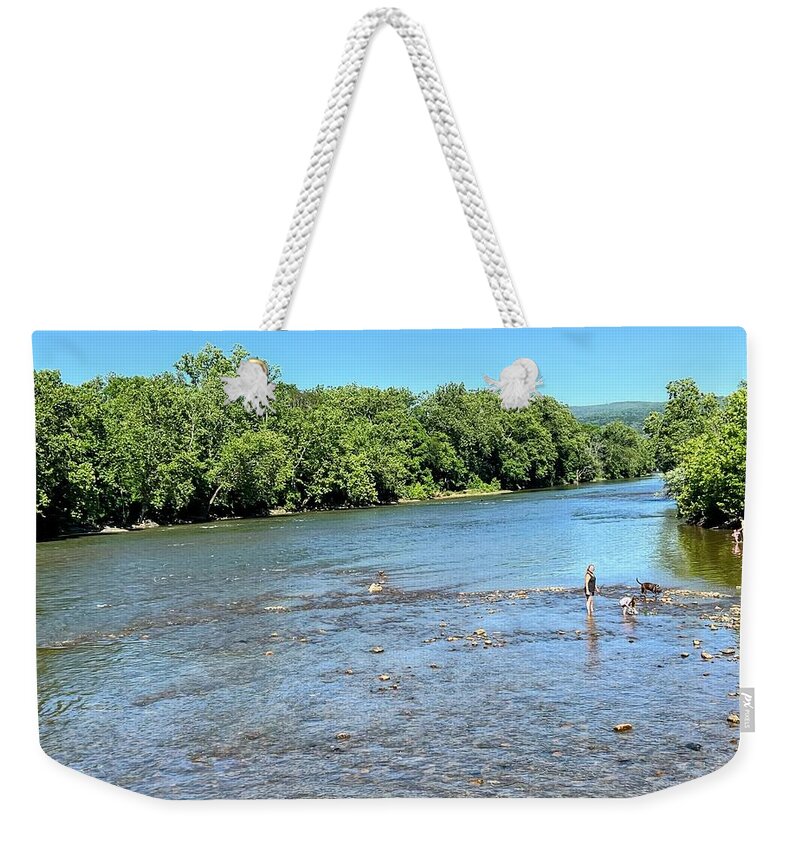  Weekender Tote Bag featuring the painting Shenandoah by Anitra Boyt