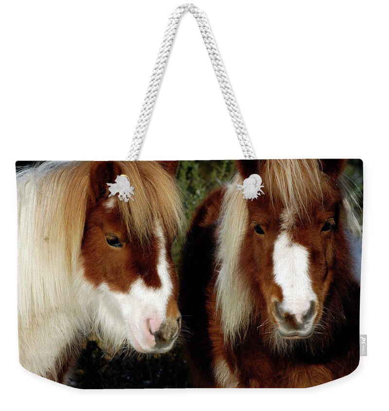 New Forest Pony Weekender Tote Bags