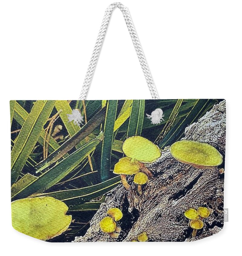 Princess Place Preserve Flagler County Florida Usa John Anderson Weekender Tote Bag featuring the mixed media Shrooms 3 by John Anderson