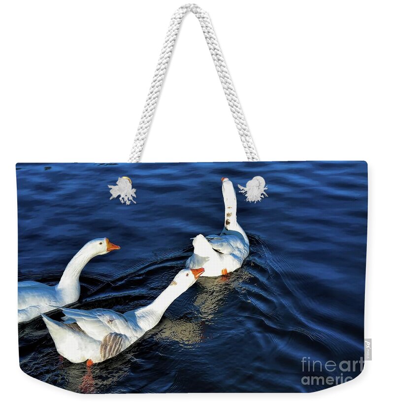 Wildlife Weekender Tote Bag featuring the photograph Shy But Lovely by Diana Mary Sharpton