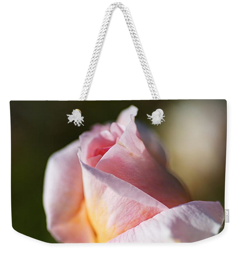 Abraham Darby Rose Flower Weekender Tote Bag featuring the photograph Shy Pink Rose Bud by Joy Watson