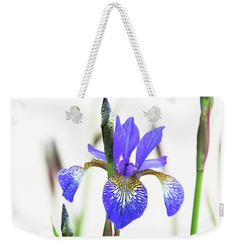 Iris Weekender Tote Bag featuring the photograph Siberian Iris Tropic Night by Tim Gainey