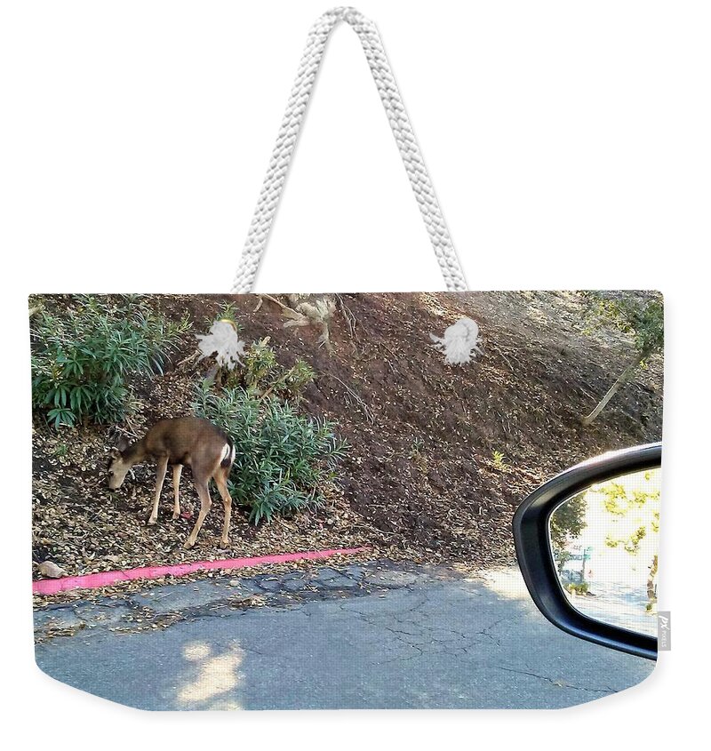 Deer Weekender Tote Bag featuring the photograph Side View Deer by Andrew Lawrence