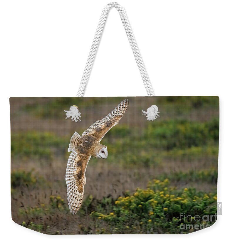 Animal Weekender Tote Bag featuring the photograph Silent Hunter by Alice Cahill