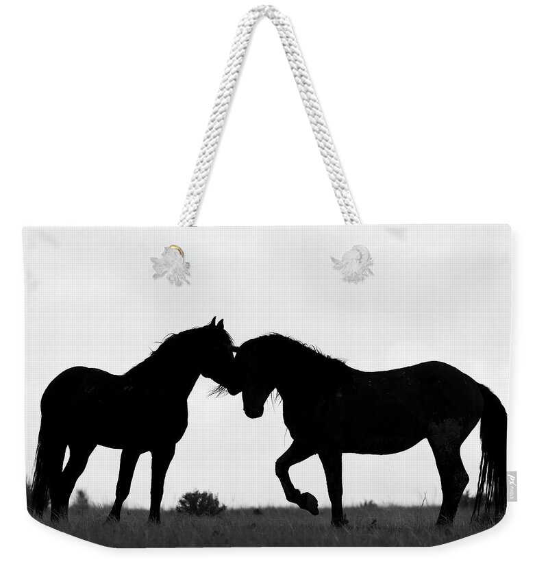 Horses Weekender Tote Bag featuring the photograph Silhouette 3 by Mary Hone