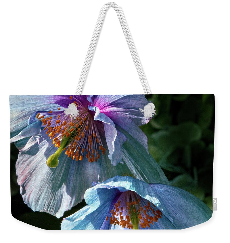 Conservatories Weekender Tote Bag featuring the photograph Silk Poppies by Marilyn Cornwell