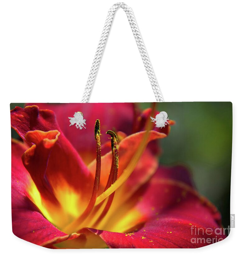 Red Weekender Tote Bag featuring the photograph Silky Smooth and Dreamy by Amy Dundon