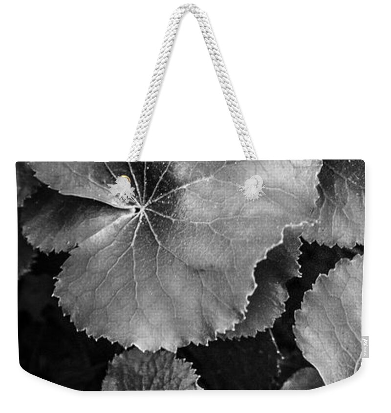 Georgia Weekender Tote Bag featuring the photograph Silver Edged Leaves in the Forest I by Debra and Dave Vanderlaan