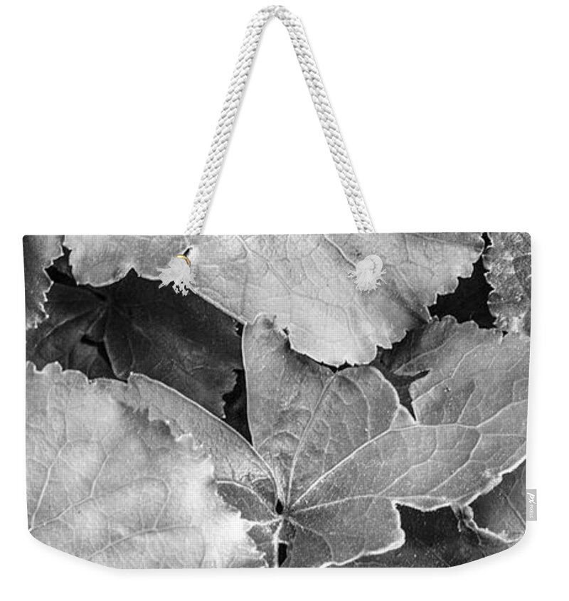 Georgia Weekender Tote Bag featuring the photograph Silver Edged Leaves in the Forest II by Debra and Dave Vanderlaan