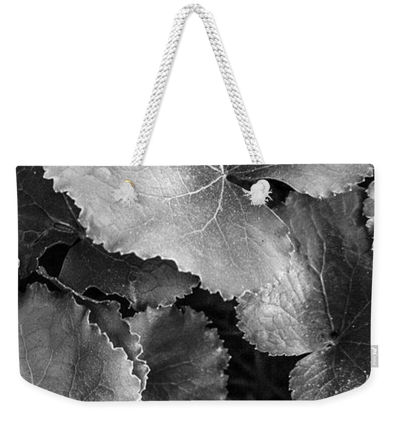 Georgia Weekender Tote Bag featuring the photograph Silver Edged Leaves in the Forest III by Debra and Dave Vanderlaan