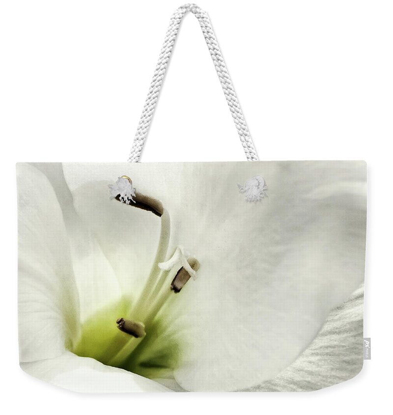 Nature Weekender Tote Bag featuring the photograph Simplicity update by Darlene Kwiatkowski