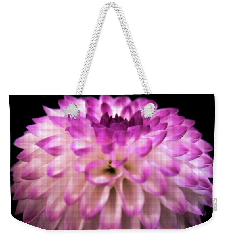Dahlia Weekender Tote Bag featuring the photograph Single and Beautiful by Sally Bauer