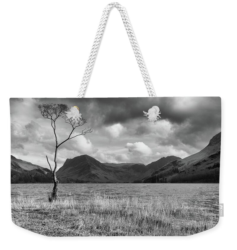 Cumbria Weekender Tote Bag featuring the photograph Single Tree, Lake District, England, UK by Sarah Howard
