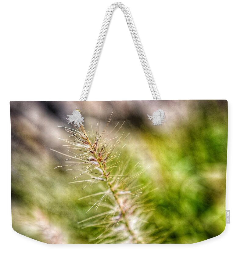 Photo Weekender Tote Bag featuring the photograph Singular Blade of Grass by Evan Foster