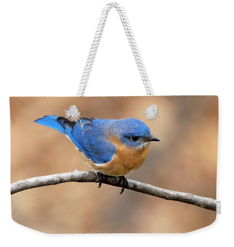 Bird Weekender Tote Bag featuring the photograph Sir Blue by Art Cole
