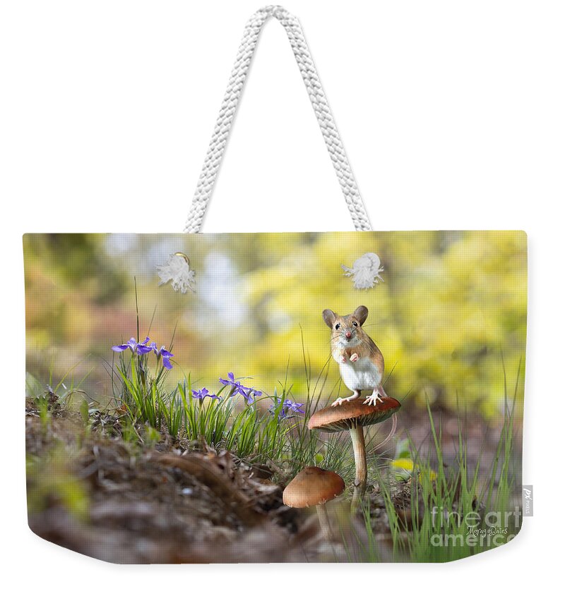 Field Mouse Weekender Tote Bag featuring the mixed media Sitting Pretty by Morag Bates
