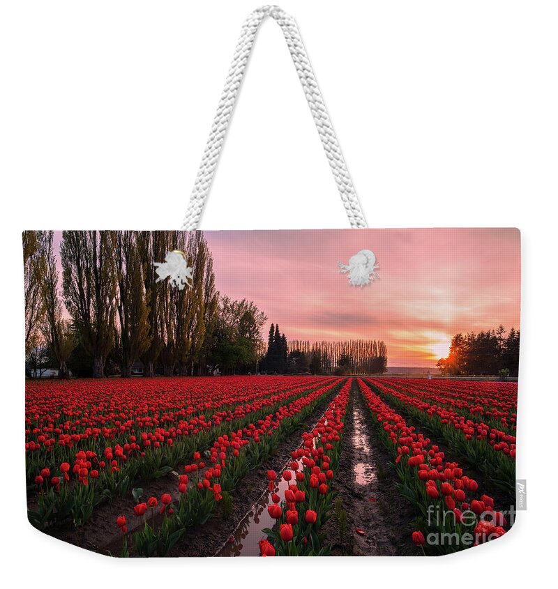 Tulip Fields Weekender Tote Bag featuring the photograph Skagit Valley Dusk Drama by Mike Reid