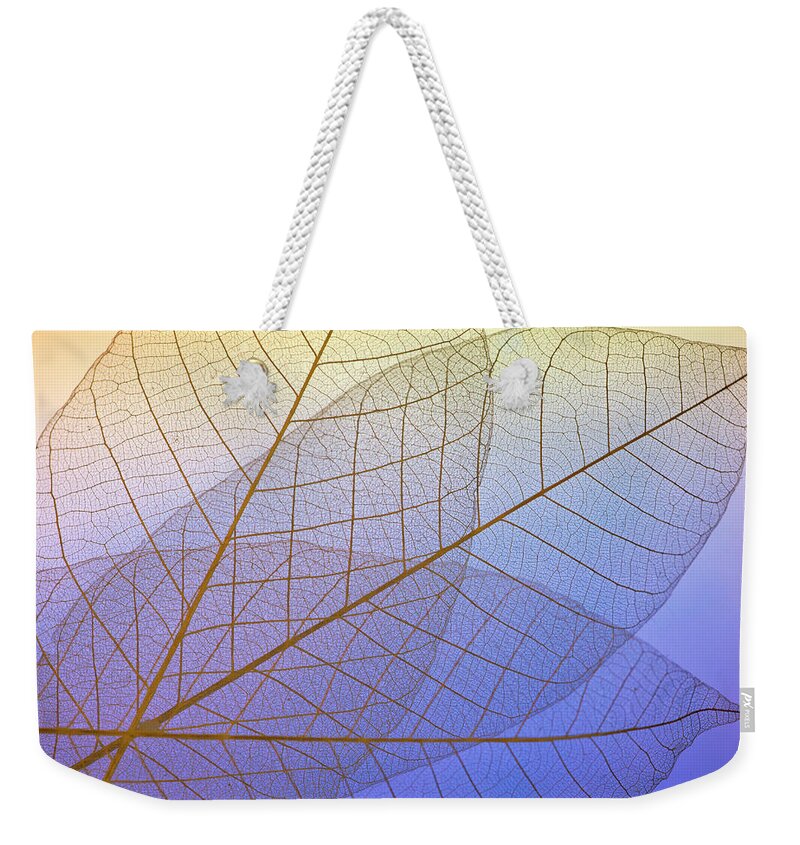 Plant Weekender Tote Bag featuring the photograph Skeleton Leaves in Blues by Evie Carrier