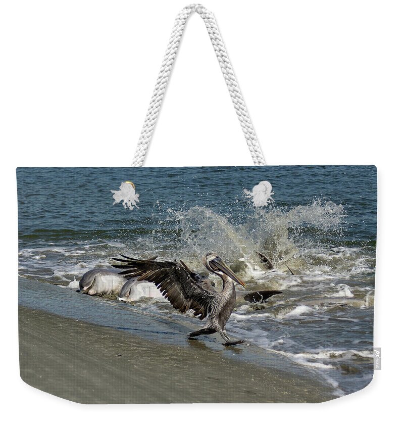 Dolphin Weekender Tote Bag featuring the photograph Skid Row by Patricia Schaefer