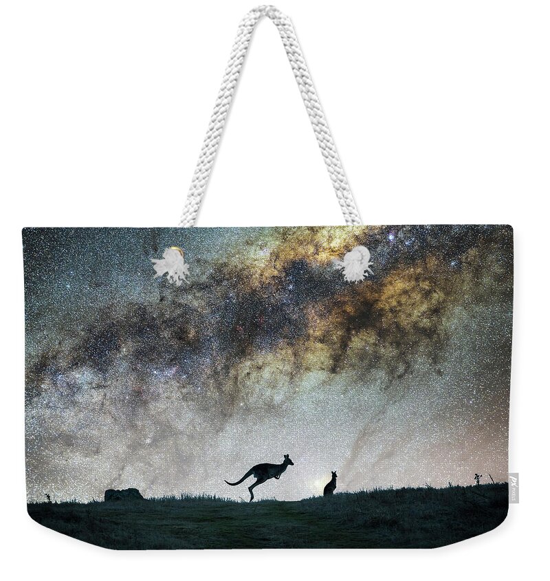 Destiny Weekender Tote Bag featuring the photograph Skippy by Ari Rex