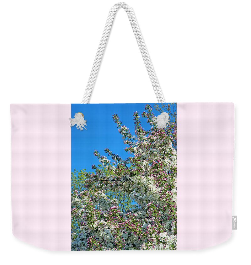 Dexter Weekender Tote Bag featuring the photograph Skyward Glimpse of Spring 1 by Jill Love
