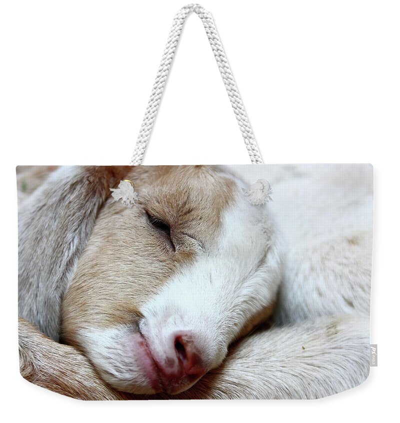 Farm Weekender Tote Bag featuring the photograph Sleeping Kid by Lens Art Photography By Larry Trager